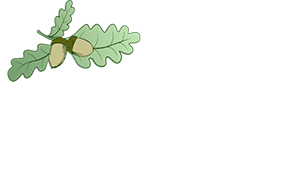 Шапка сайту