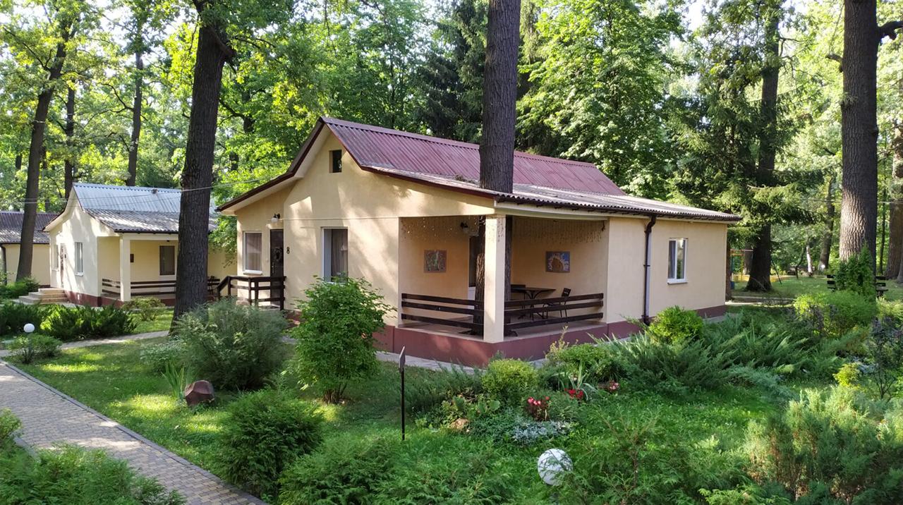Головна Дубравушка