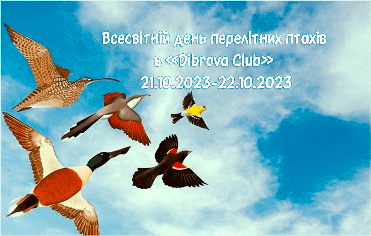 Всесвітній день перелітних птахів в «Dibrova Club» 21.10.2023-22.10.2023
