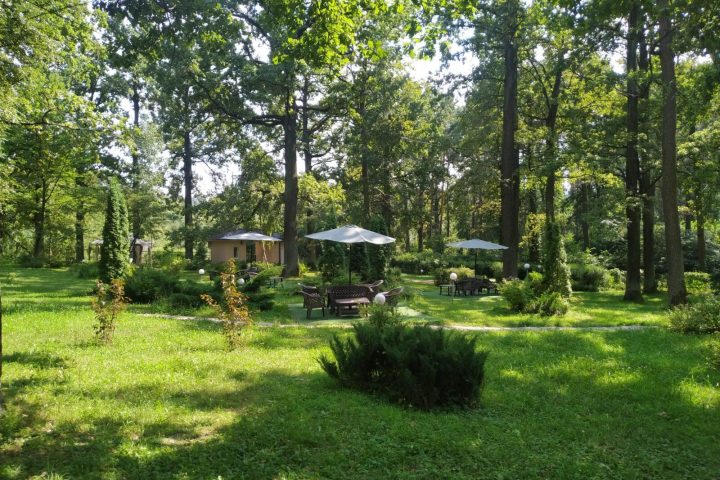 Територія «Dibrova Club»
